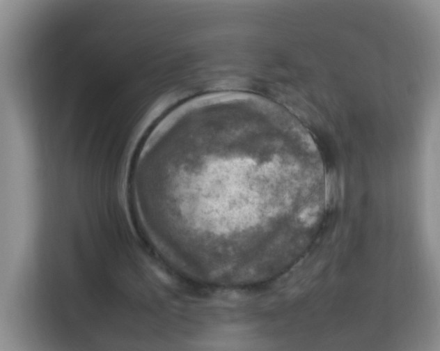 X0000113640195200910091543