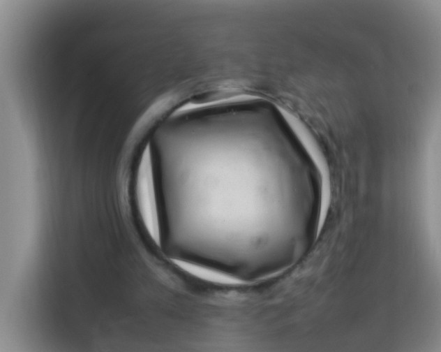 X0000113640197200910091543