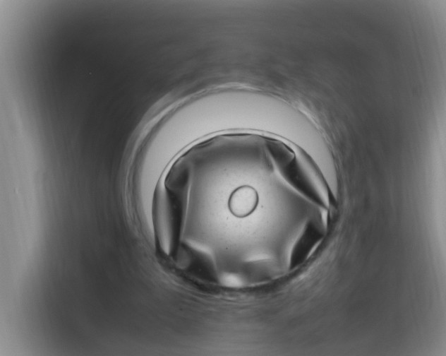 X0000113640199200910091543