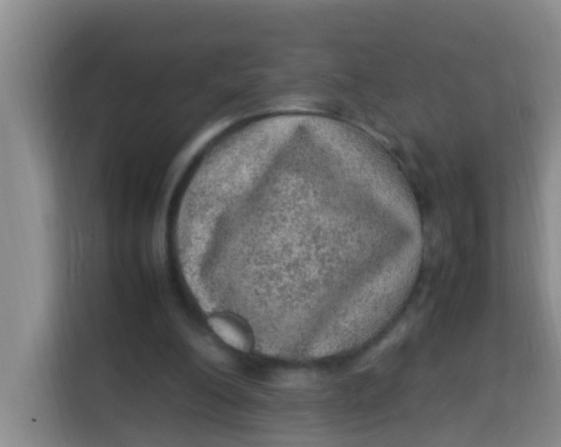 X0000113640200200910091543