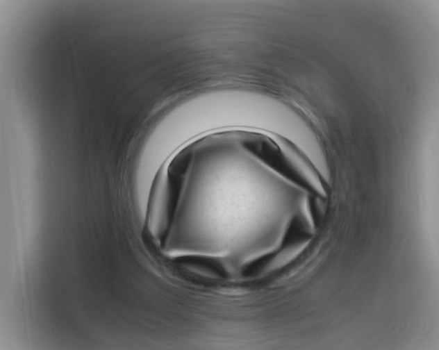 X0000113640203200910091543