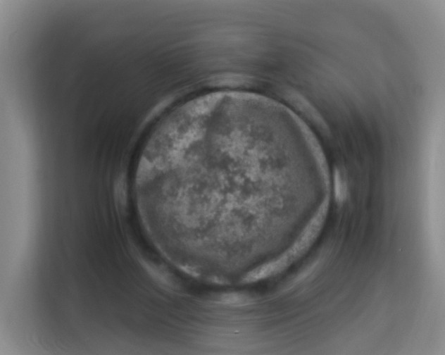 X0000113640204200910091543