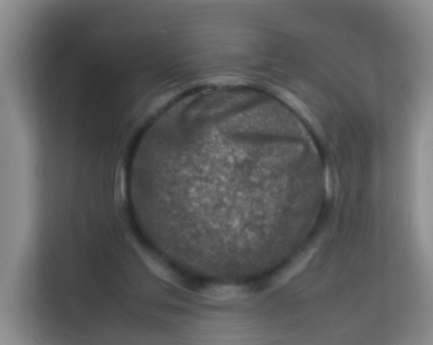 X0000113640205200910091543