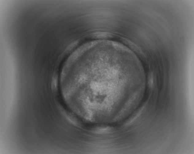 X0000113640206200910091543