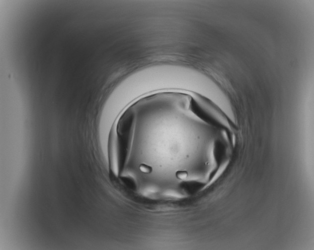 X0000113640207200910091543