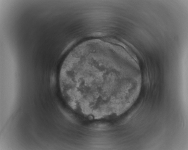 X0000113640208200910091543