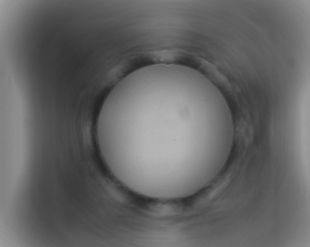 X0000113640209200910091543