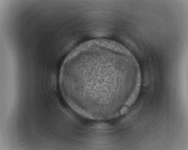 X0000113640210200910091543