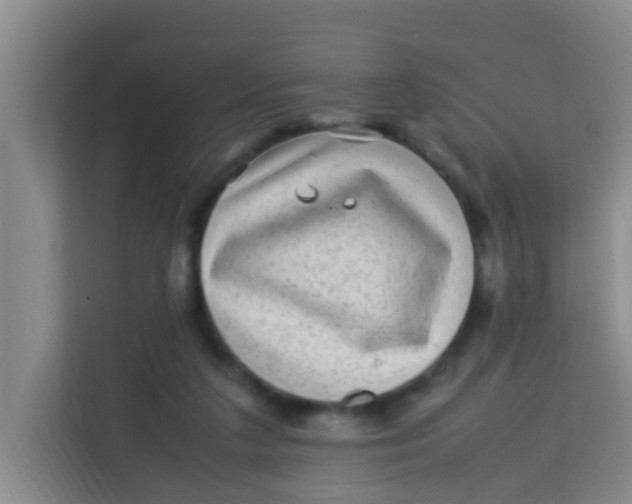 X0000113640211200910091543