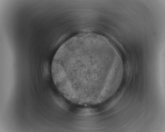 X0000113640212200910091543