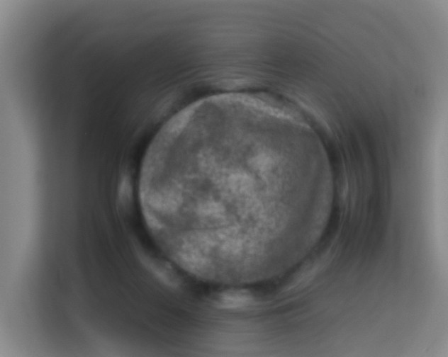 X0000113640214200910091543