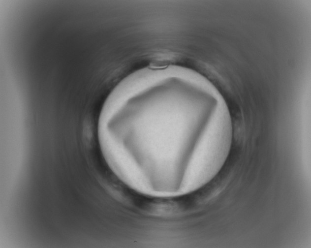 X0000113640215200910091543