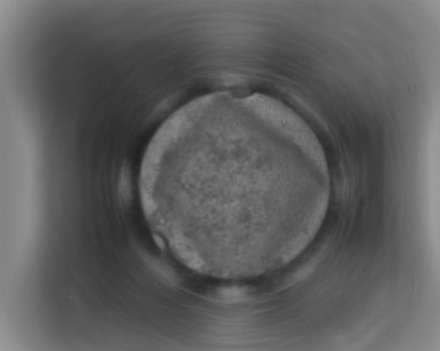 X0000113640216200910091543