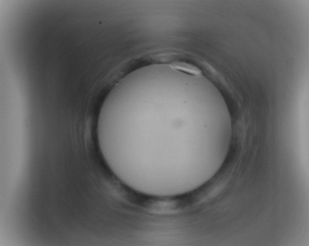 X0000113640217200910091543