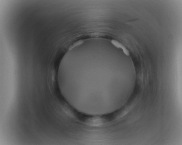 X0000113640219200910091543