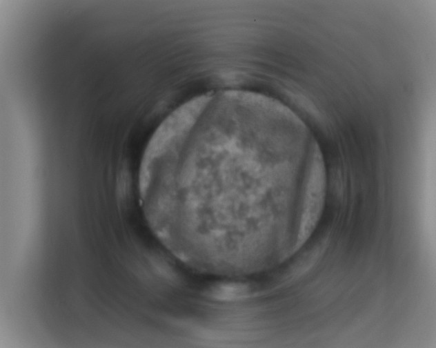 X0000113640220200910091543