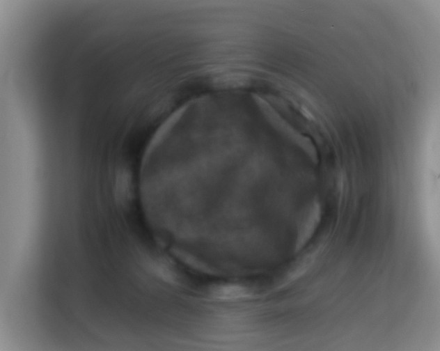 X0000113640224200910091543