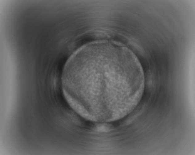 X0000113640226200910091543