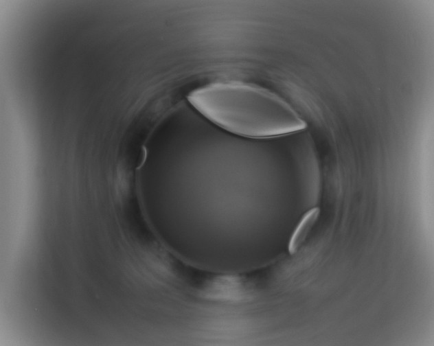 X0000113640227200910091543