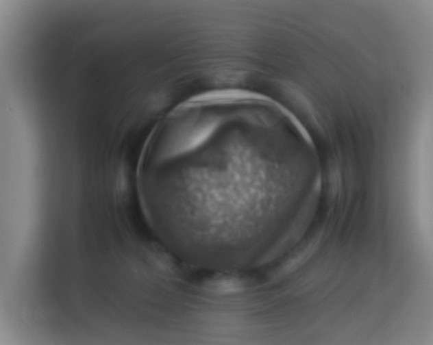 X0000113640228200910091543