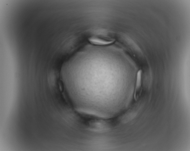 X0000113640229200910091543