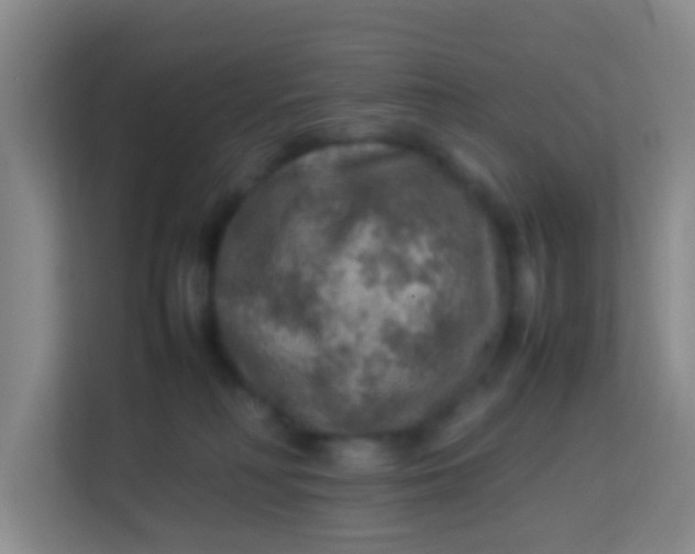 X0000113640230200910091543