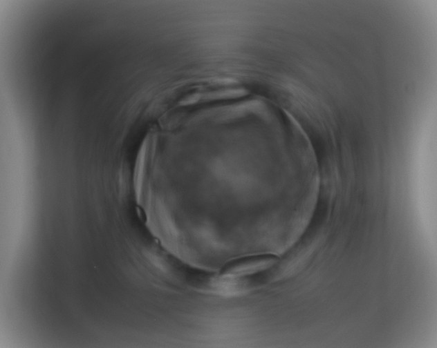 X0000113640231200910091543