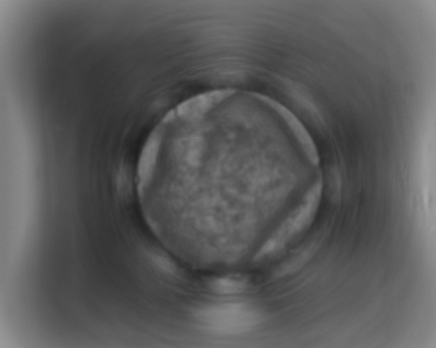 X0000113640232200910091543