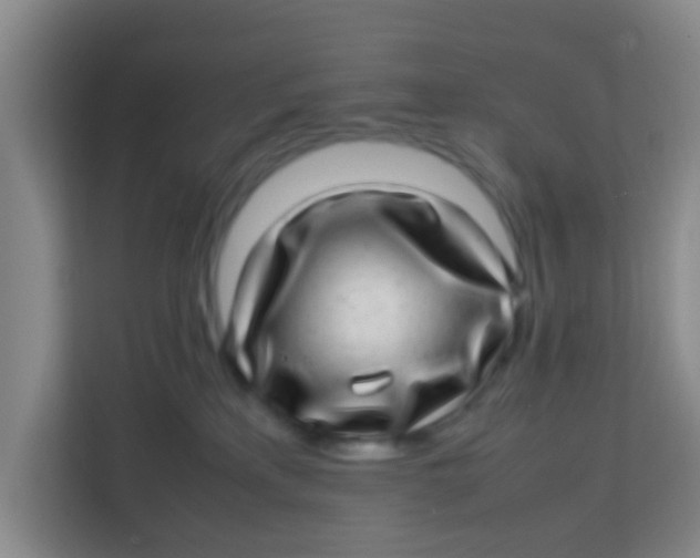 X0000113640233200910091543