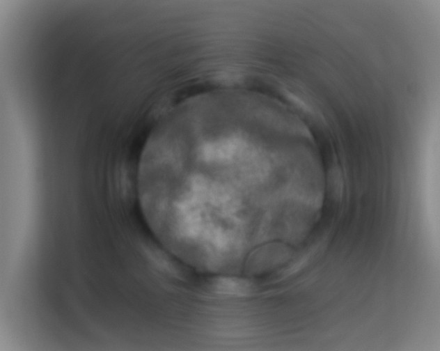 X0000113640234200910091543