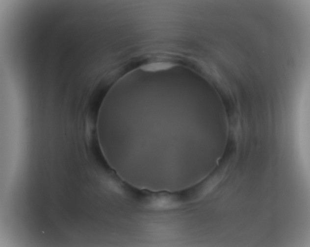 X0000113640235200910091543