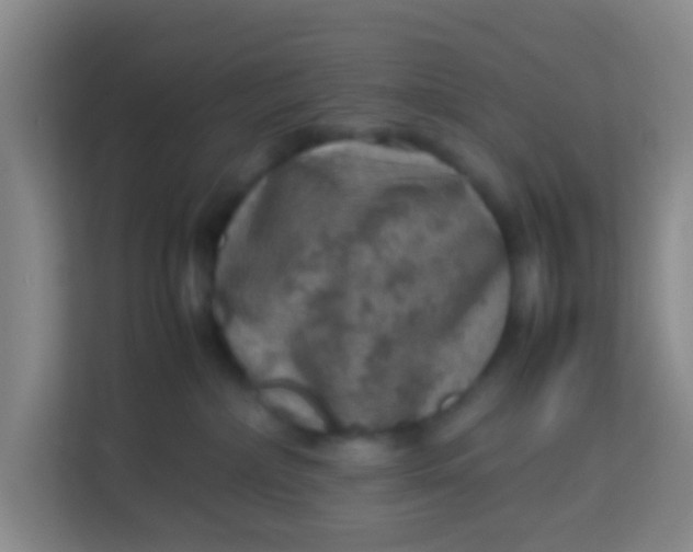 X0000113640236200910091543