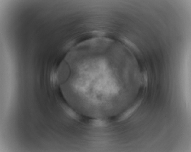 X0000113640238200910091543