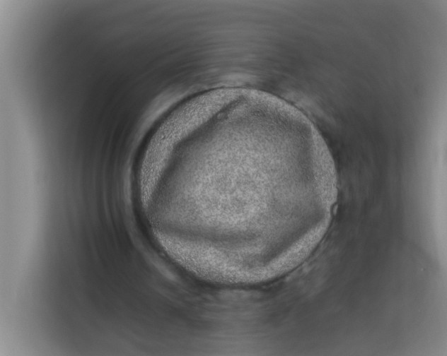 X0000113640242200910091542