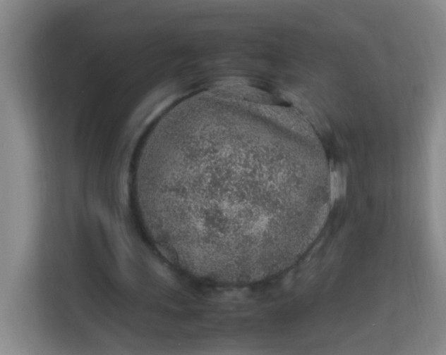 X0000113640243200910091542