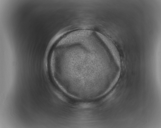 X0000113640246200910091542