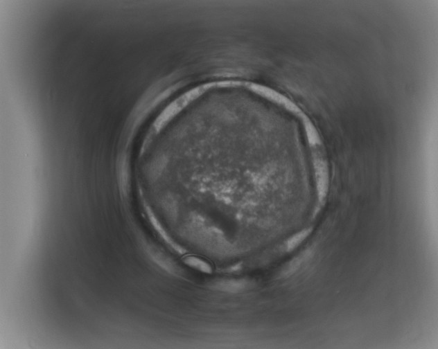 X0000113640247200910091542