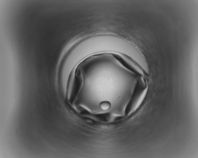 X0000113640248200910091542