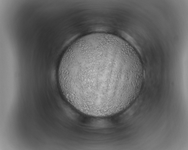 X0000113640249200910091542