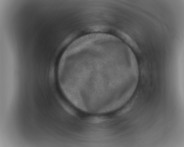 X0000113640250200910091542