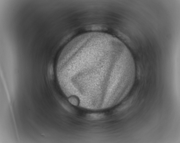 X0000113640251200910091542