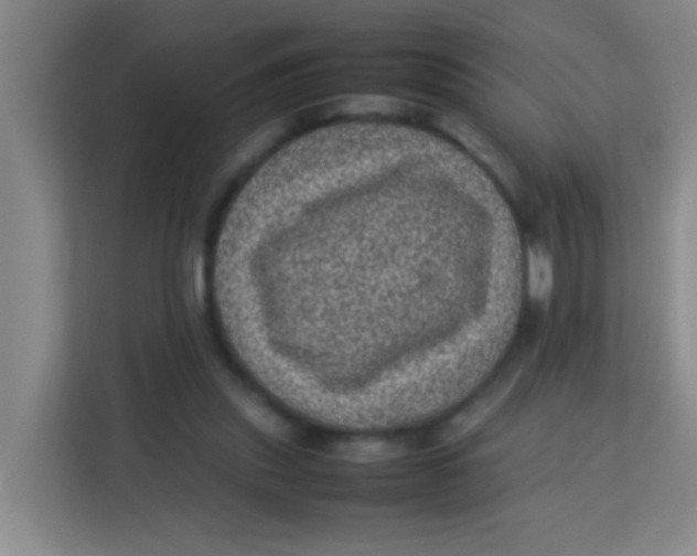 X0000113640253200910091542