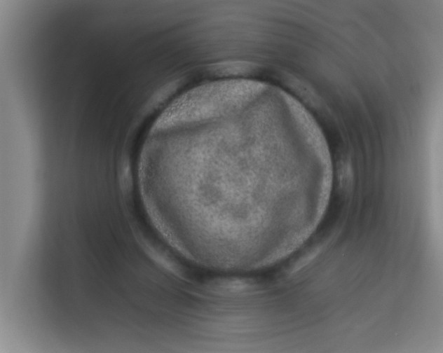 X0000113640254200910091542