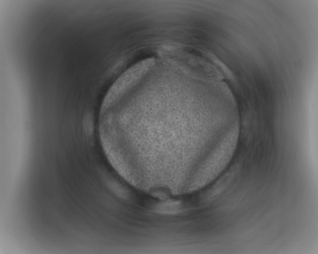 X0000113640257200910091542