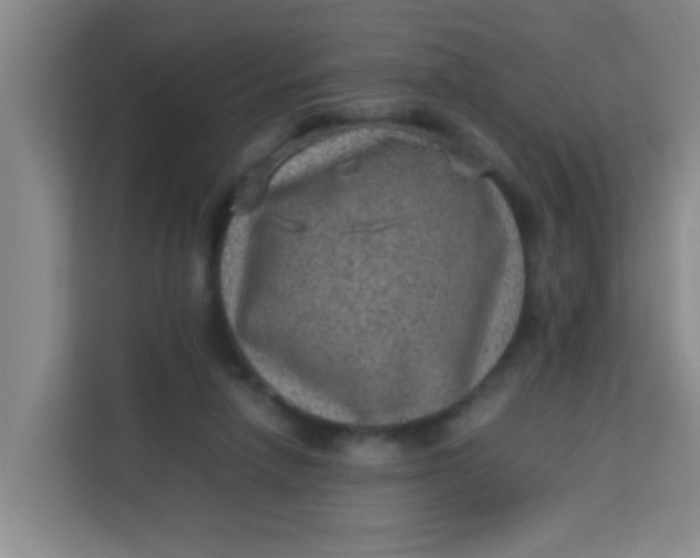 X0000113640258200910091542