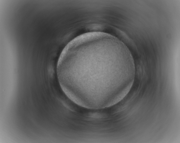 X0000113640259200910091542