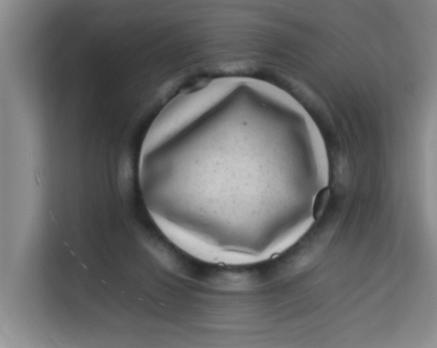 X0000113640260200910091542