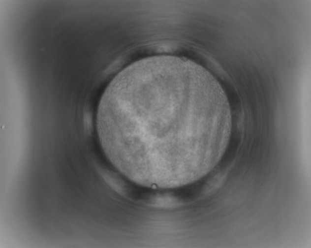 X0000113640262200910091542