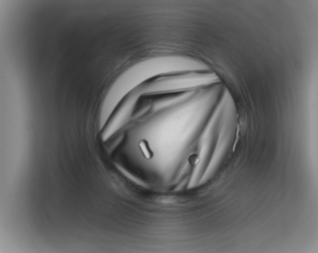 X0000113640264200910091542