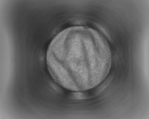 X0000113640265200910091542